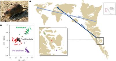 The Promise of Genetics and Genomics for Improving Invasive Mammal Management on Islands